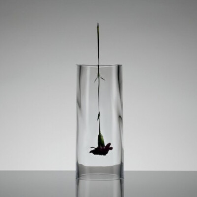 东京设计师Dan Tomimatsu花瓶设计（分享自万椅网：http://www.w-yi.com/note/12161）