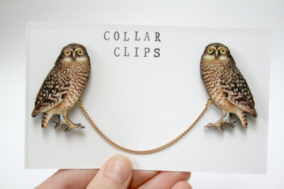 collar clips