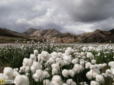 影师：Matthew Wynyard，2011年01月17日 摄影师詹妮弗·耶西说：“这张照片摄于2010年7月，当时我们在冰岛一处称为蓝曼纳劳卡的地区徒步旅行。人们来这儿是为了欣赏色彩斑斓的流纹岩山体。在此次冰岛之旅中，我们…