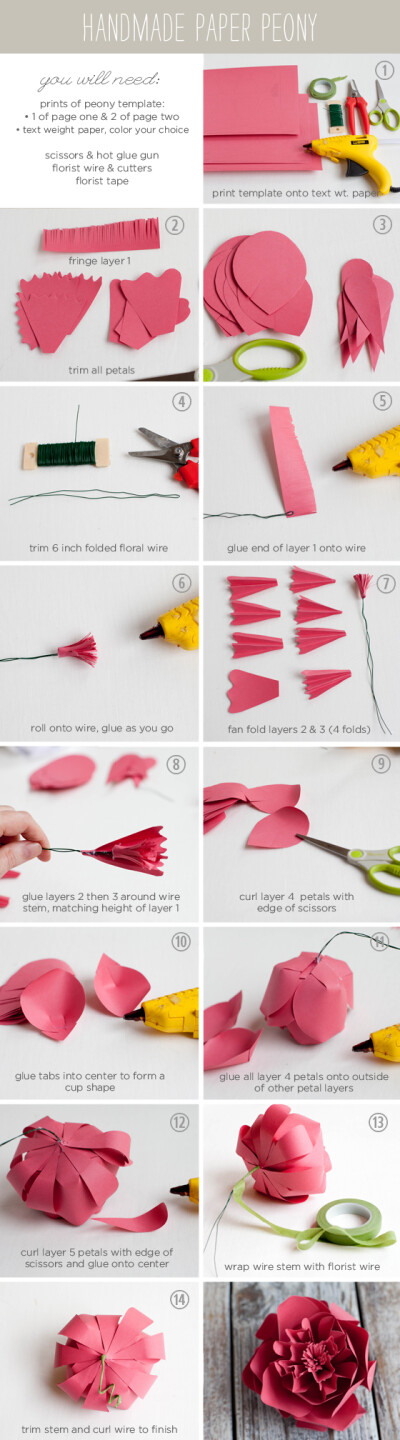 How to make a Paper Peony