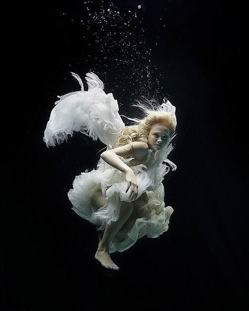 水下。英国水下摄影师 Zena Holloway