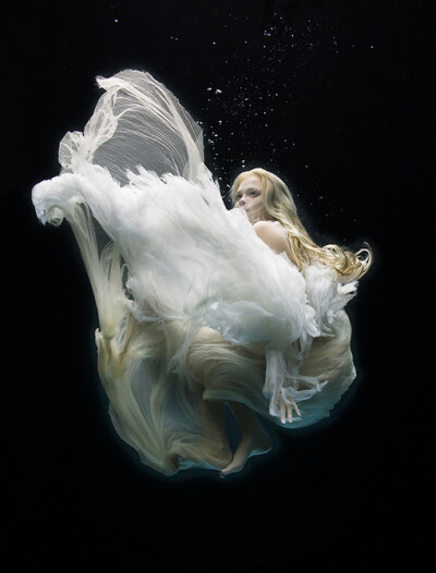 水下。英国水下摄影师 Zena Holloway