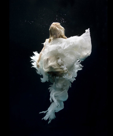 水下。英国水下摄影师 Zena Holloway