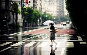 她想自己确实是老了。只有老人才会这么贪恋汲取儿女的温暖，只有老人，才会贪心地想要让所有的儿女都承欢膝下。这个世界，真的没有两全之法吗？   ——《十年一品温如言》