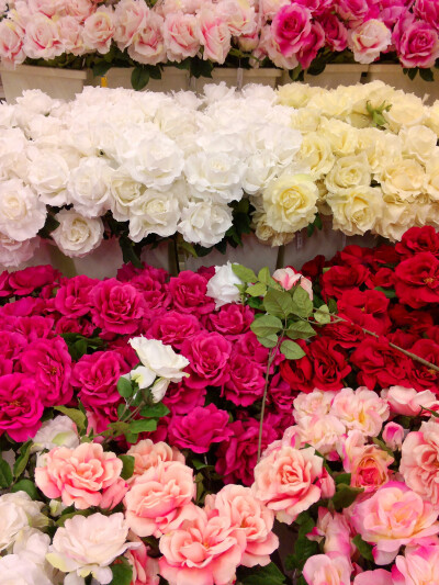 Roses~Happy Mother's Day!