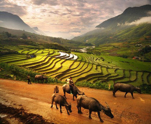 Weerapong Chaipuck，是来自泰国曼谷的一位旅行风光摄影爱好者。Weerapong在退休前是一位从事医疗工作者，为了他的摄影爱好，他选择了提前退休，随后拿起相机开始了他的旅行和摄影。他的旅行风光片子很优美，很在意光线和色调的掌控。