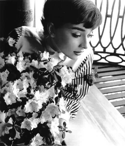 Audrey Hepburn 奥黛丽赫本