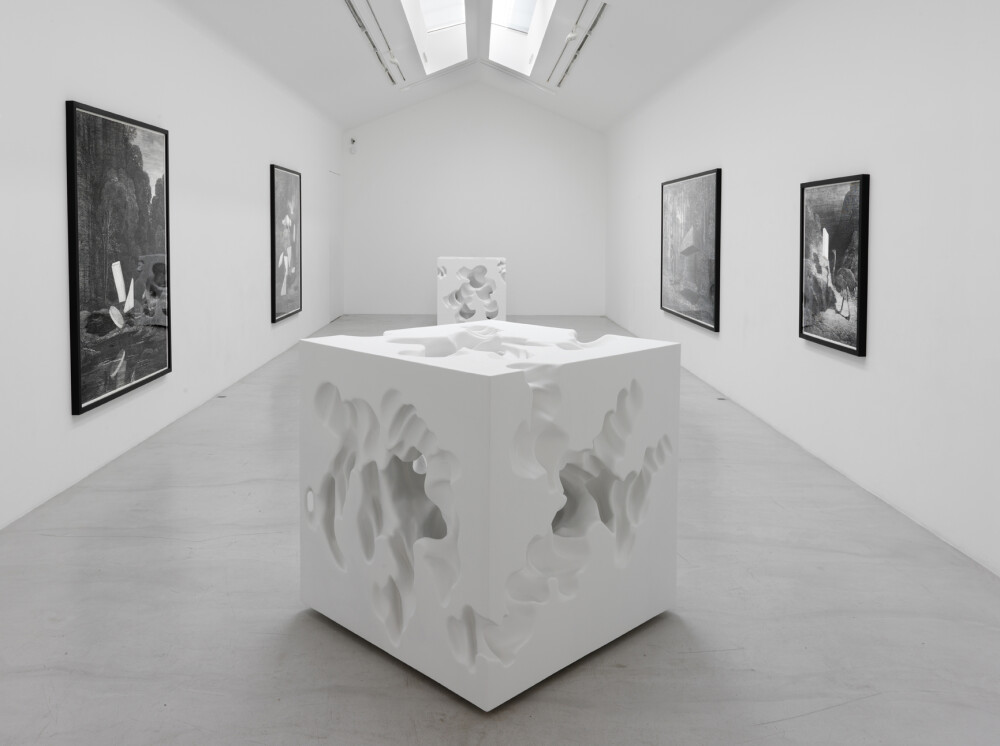 Installation view Animal Architecture 2010, Galerie Perrotin, Paris
