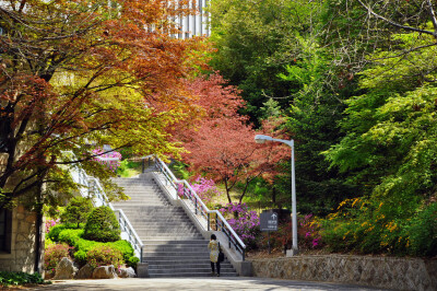 首尔，梨花女子大学