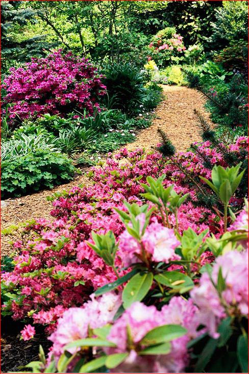 阳光欠佳的花园。大量采用观叶植物，观赏草，玉簪，杜鹃等喜阴花卉来创造背阴花园的层次和色彩。