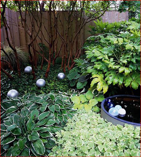 阳光欠佳的花园。大量采用观叶植物，观赏草，玉簪，杜鹃等喜阴花卉来创造背阴花园的层次和色彩。