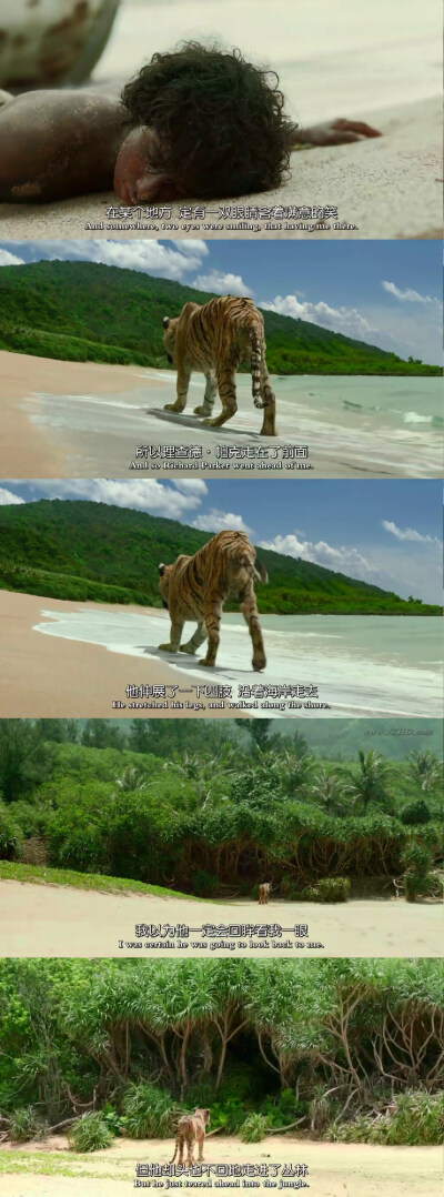 《少年派奇幻漂流》——“在印度的那一段人生就像是一幕剧 剧终人散，但最让人心痛的是，我没能好好道别。虽然理查德。帕克是一只虎 但是我多想告诉他“都结束了，我们活了下来。感谢你救了我的命，我爱你，理查德。…