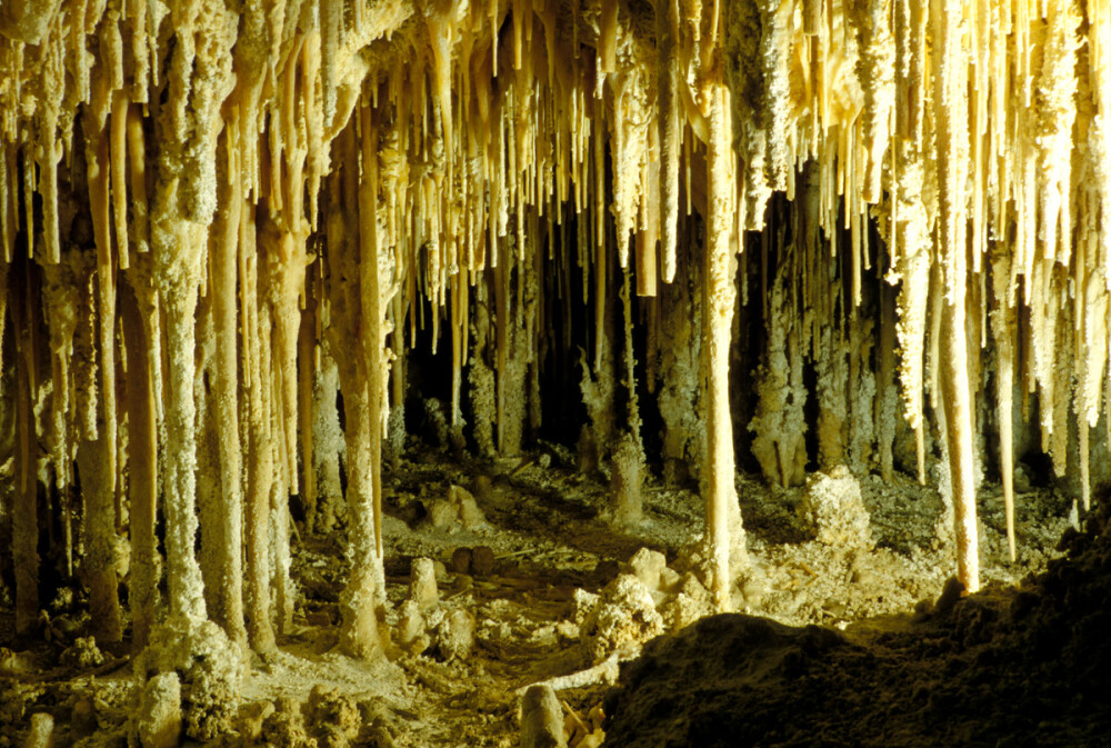 新墨西哥 卡尔斯巴德洞穴国家公园(Carlsbad Caverns National Park, New Mexico)