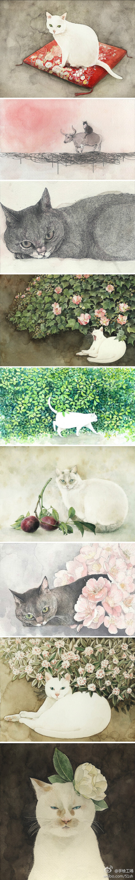 日本插画家山田绿 (Midori Yamada) 喜欢画猫，她笔下的喵星人总是慵懒怡然，摆着一副傲娇的可爱表情，慢吞吞地在花丛里走来走去，找一块最舒适的树荫来小憩。