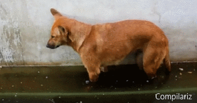 打瞌睡没找好地方啊~！