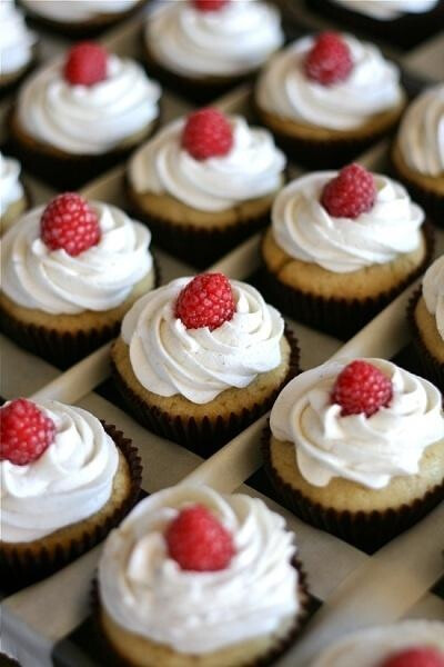 Vegan Vanilla Cupcakes