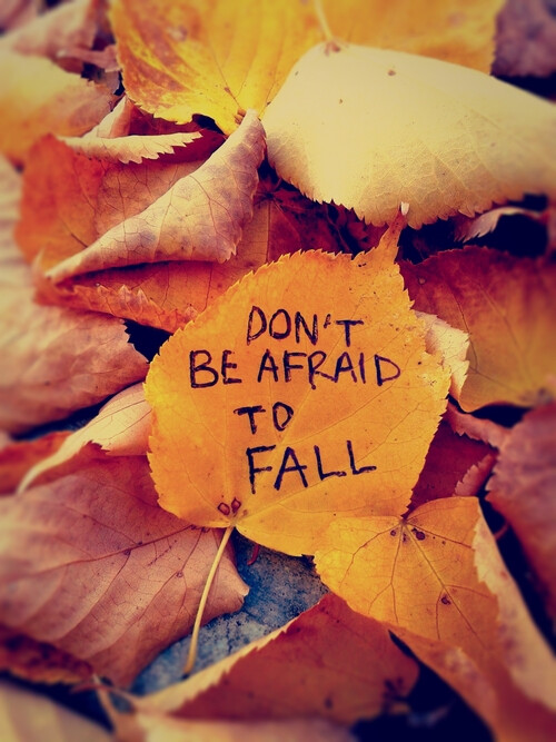 Don't be afraid to fall