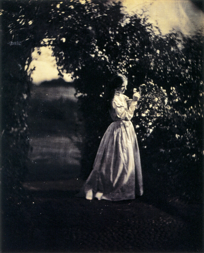 The Gardener’s Daughter, 1867 by Julia Margaret Cameron