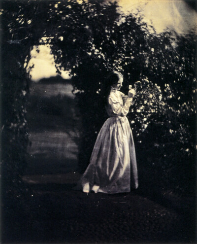 The Gardener’s Daughter, 1867 by Julia Margaret Cameron