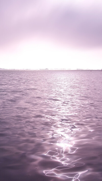 Purple Twilight iPhone 5 Wallpaper