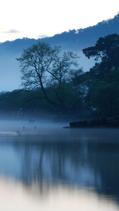 Early Morning Lake iPhone 5 Wallpaper