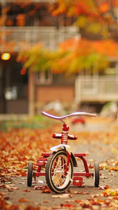 Tricycle iPhone 5 Wallpaper