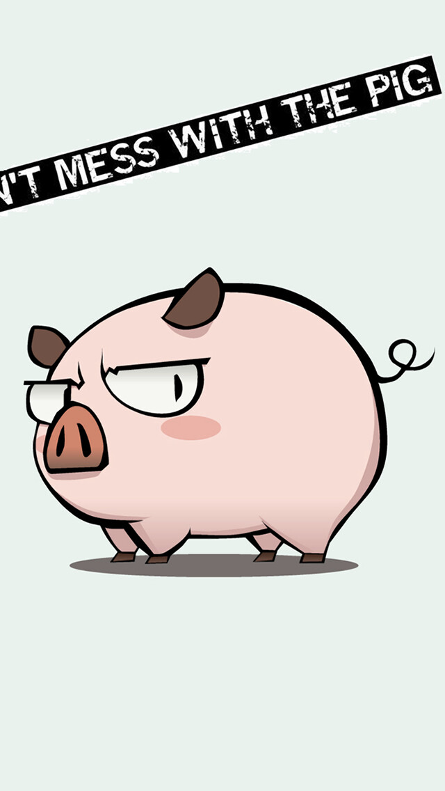 Funny Mess Pig iPhone 5 Wallpaper