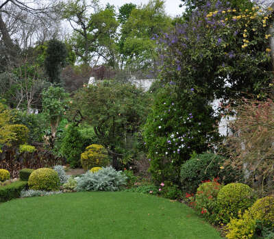 DSC_0079.jpg有南非玫瑰之母之称， 今年99岁高龄的Una的花园