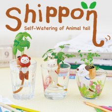 日本shippon动物尾巴吸水盆栽 可爱绿色桌面迷你植物