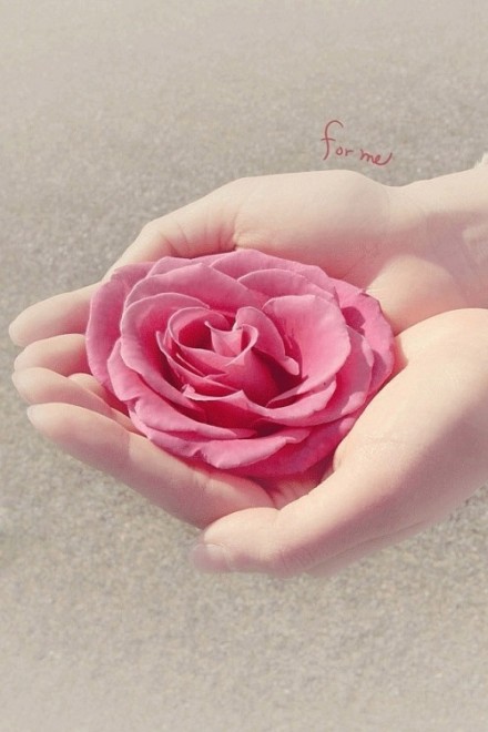 对生命而言，接纳才是最好的温柔，不论是接纳一个人的出现，还是，接纳一个人的从此不见。 —— 秋微《莫失莫忘》