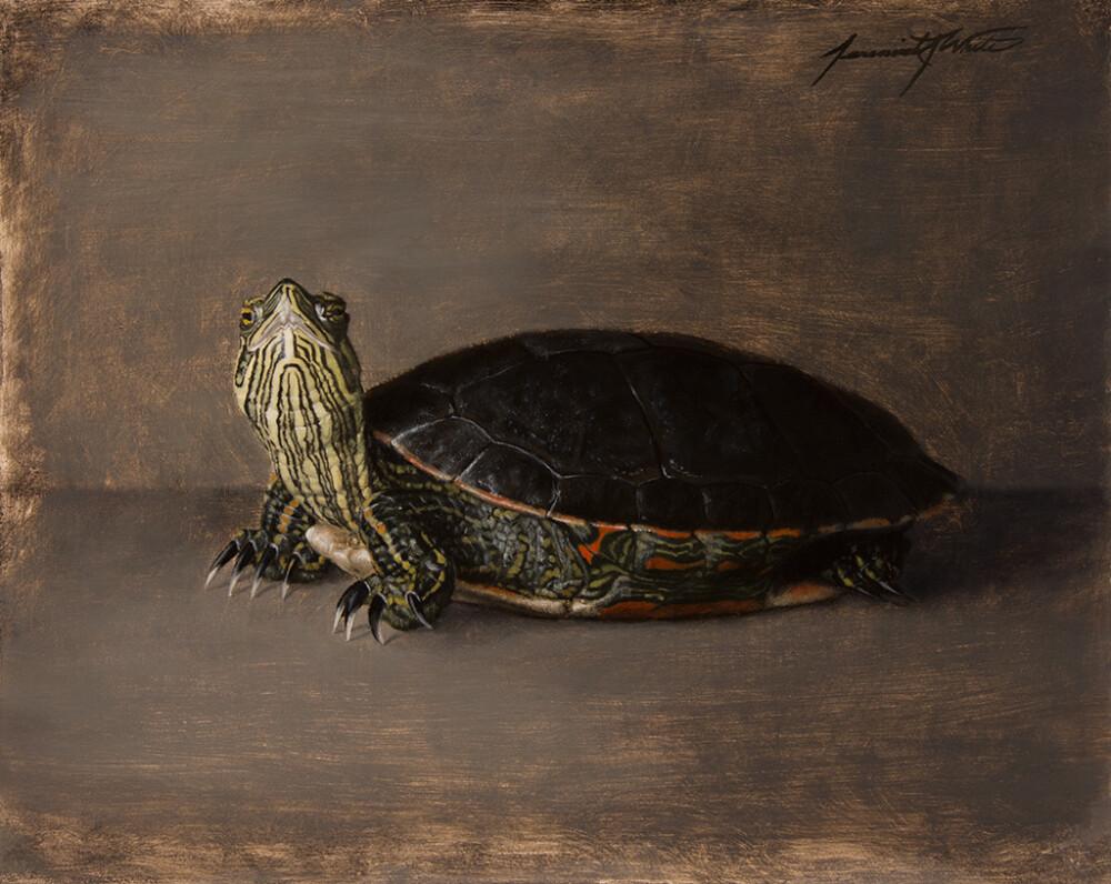 Jeremiah J. White - Painted Turtle