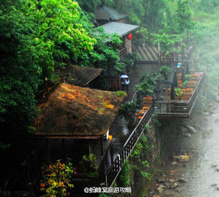 小桥清荷油纸伞，一蓑烟雨话江南。