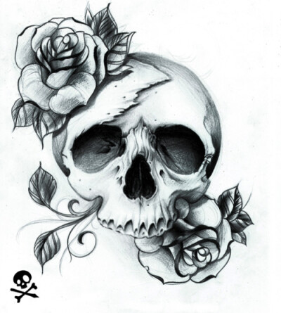 skull n roses