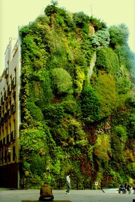 garden wall madrid, spain