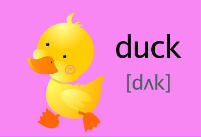 duck