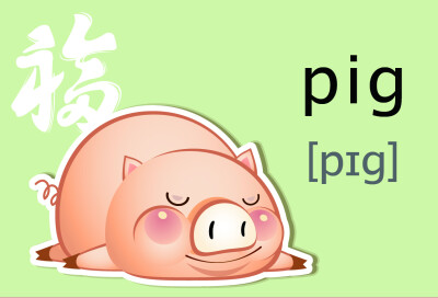 pig