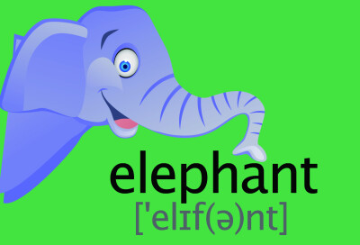 elephant