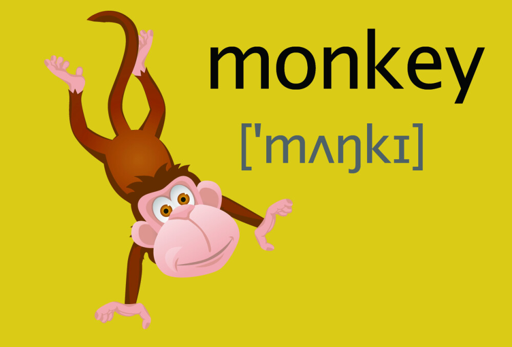 monkey