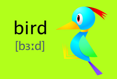 bird