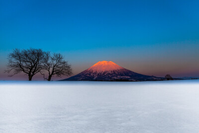 富士山 作者 Mitsuhiko Kamada