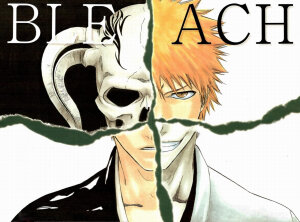 Bleach 黑崎一护