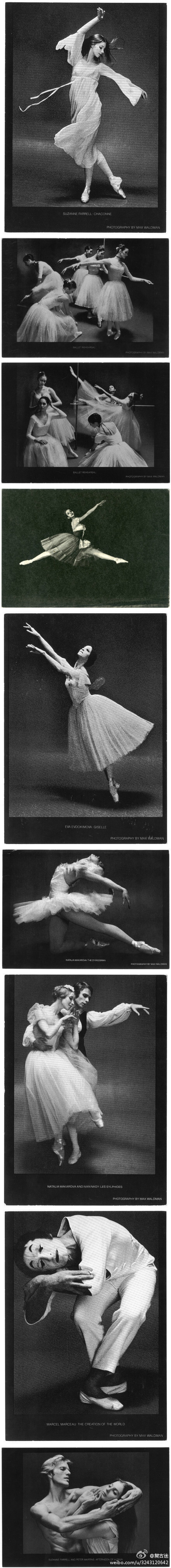 时间一点点流逝，但是美被凝固了。黑白色的芭蕾舞。上世纪中期杰出芭蕾舞演员在演出经典作品时的绝美瞬间。