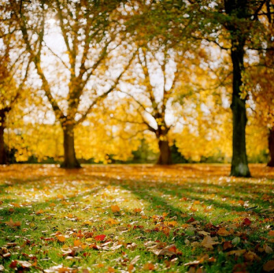 彩虹天堂 - 于Jesus Green, Cambridge