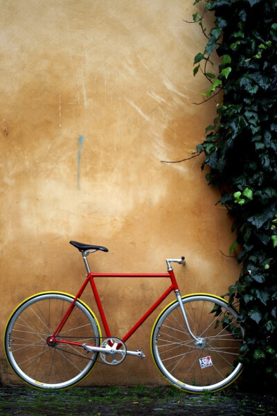 Wall corner bike iPhone Wallpaper