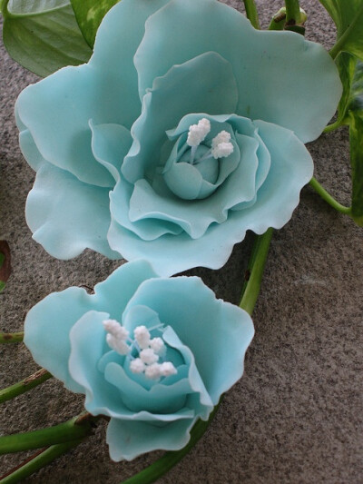 Tiffany Blue Flower