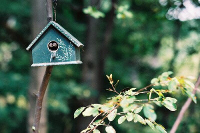少年的天空有五颜六色的光怪陆离