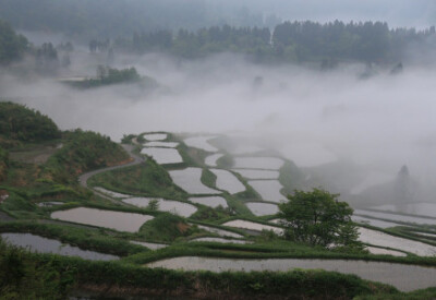 新潟县十日町松之山的梯田。 摄影by みちのく 一名三流写真家