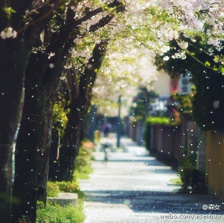 最后一个夏天，我们就要说再见了。——送给即将毕业的我们