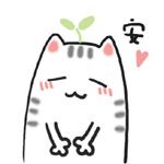 seed cat 种子猫 表情