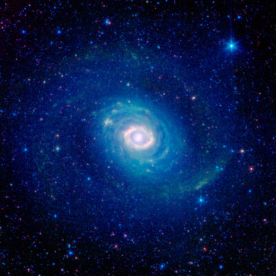 最新的M94，也称NGC 4736，由斯皮策太空望远镜拍摄。